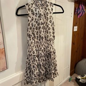 Express cute knee length dress